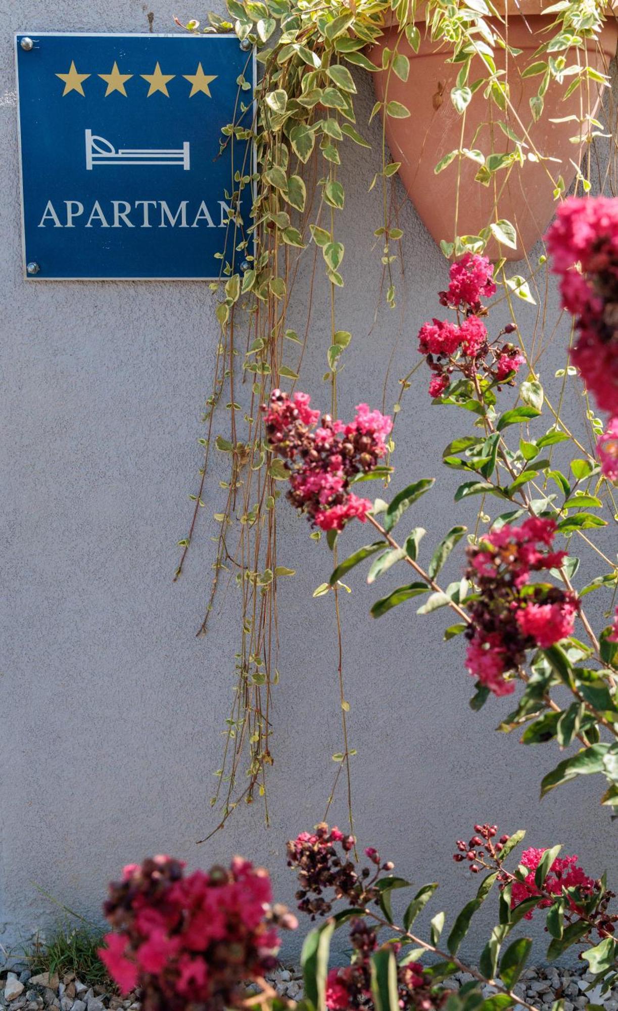 Luxury Apartment Alba With Pool Kanfanar Bagian luar foto